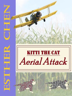 cover image of Aerial Attack